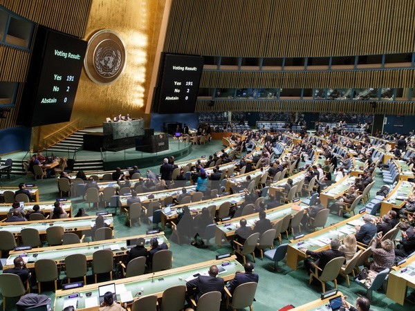 L’ONU proclame le 29 juin «Journée internationale des tropiques» - ảnh 1